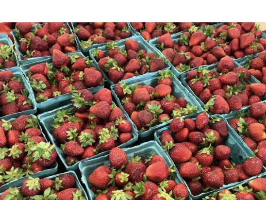 Example post image chosen from a local business website
